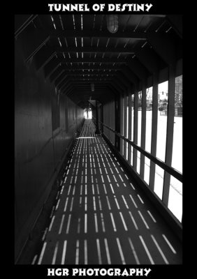 HGRP Tunnel of Destiny.jpg