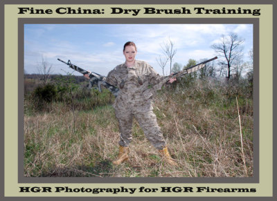 Dry Brush Training:  Fine China