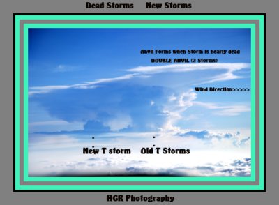 HGRP Dead Storm New Storm.jpg