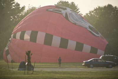 bounce808-8.jpg