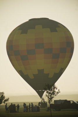 bounce808-14.jpg