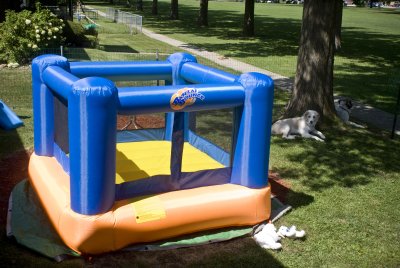 bounce808-44.jpg