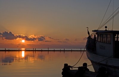 Heron Dawn:  Fulton Marina_Rockport