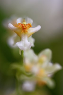 IMG_1728_2.JPG