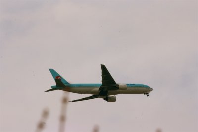 IMG_3997_1.JPG