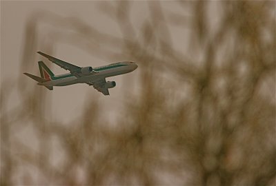 IMG_4898_2.JPG