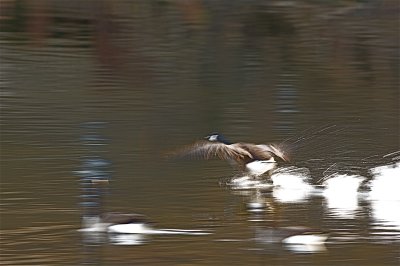IMG_6247.jpg