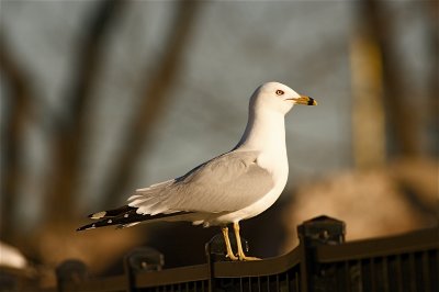 IMG_6332.jpg