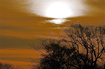 IMG_0452.jpg