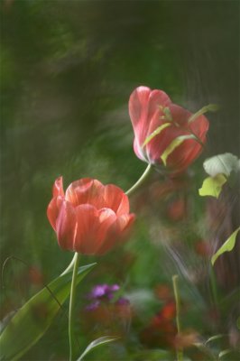 IMG_3063.jpg