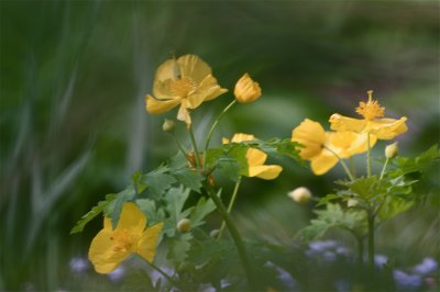 IMG_3091.jpg