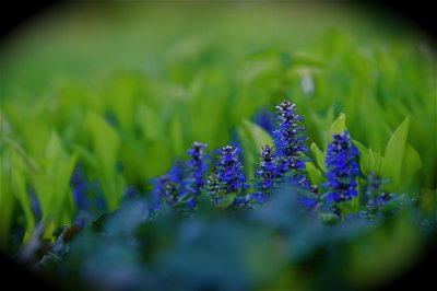 IMG_2888.jpg