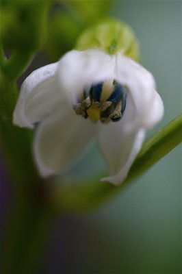 IMG_4871.jpg