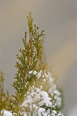 IMG_5405.jpg