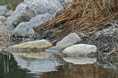 IMG_4155.jpg