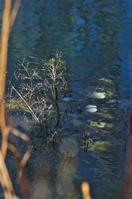 IMG_4676.jpg
