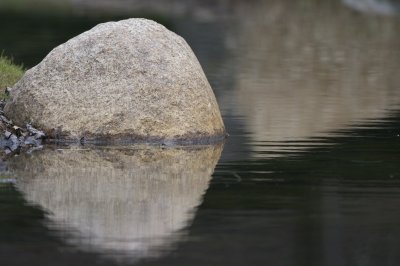 IMG_4176.jpg