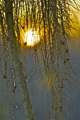 IMG_7670.jpg