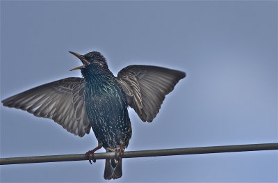 IMG_9140.jpg
