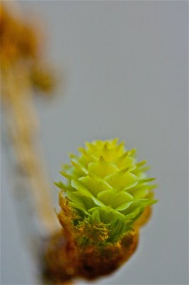 IMG_9603.jpg