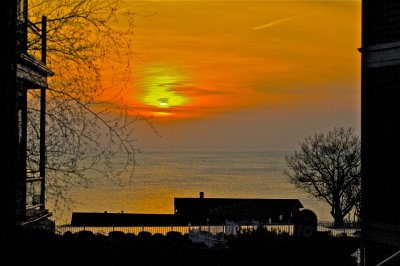 IMG_1009.jpg