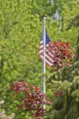 IMG_2747.jpg