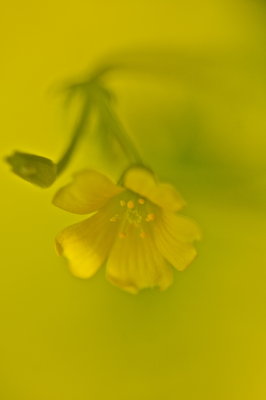 IMG_5923.jpg