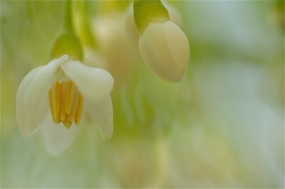 IMG_5987.jpg