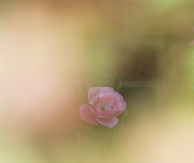 IMG_9461.JPG