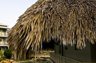 Thatching up close