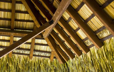 Underneath the thatching