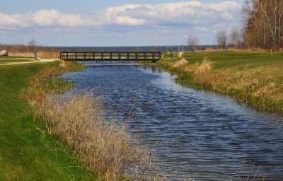 Bridge and Reeds
