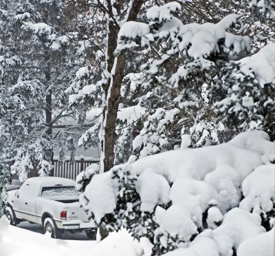 New Snow