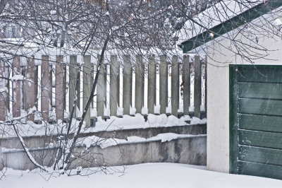 Fence and Garage