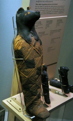 Field Museum, Chicago