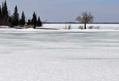 Promontory and trees on frozen lake