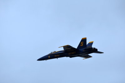 DSC_0370.JPG