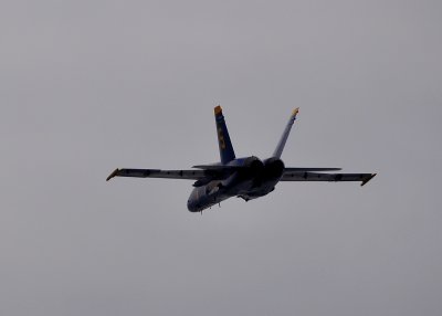 DSC_0499.JPG