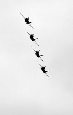 DSC_0684.JPG