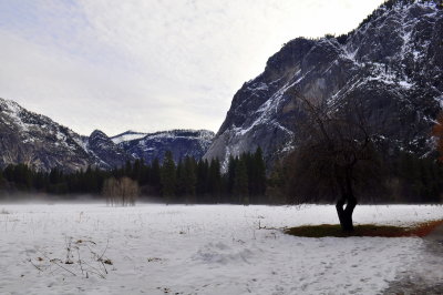 DSC_0170.JPG