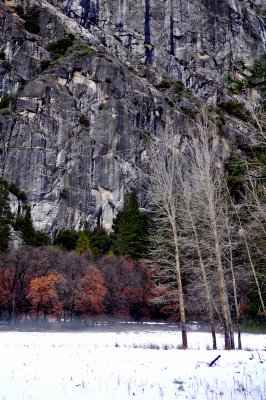 DSC_0201.JPG