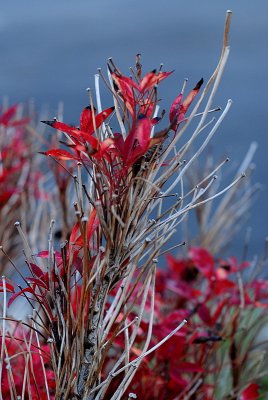 DSC_0017.JPG