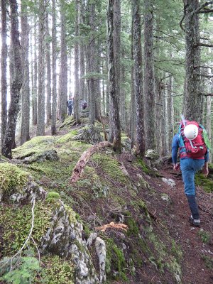 After 1600 feet, a nice ridge walk