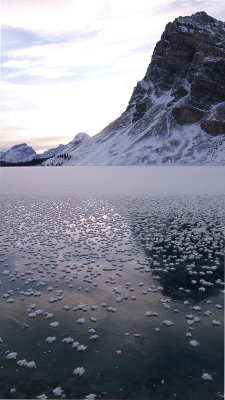 Bow Lake