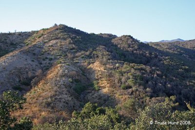 We attended a Full Moon Hike at Rancho Sonado to view the burned and unburned areas