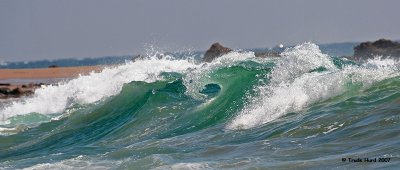 b wave