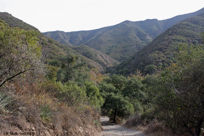 Several miles up Trabuco Canyon on a dirt road in my Jeep