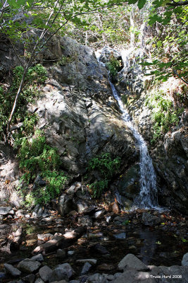 Got out and hiked up the mountain.  Destination:  Holy Jim waterfall in November 2008