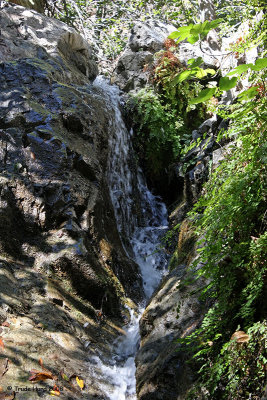 Holy Jim Waterfall with some water (we had a dry winter)