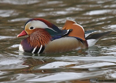 winter_at_irvine_regional_park